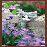 Keith Kimberlin-cica-kövek és virágok fali poszter, 22.375 34