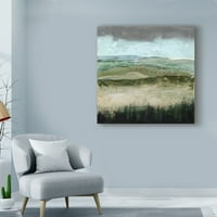 Védjegy Szépművészet 'Ua ch Crystal Moorland i' Canvas Art by Grace Popp