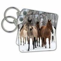 3dRose lovak csoportja-kulcstartók, 2. által, készlet 2