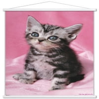Keith Kimberlin-Cica-Aranyos Fali Poszter, 22.375 34