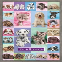 Keith Kimberlin-kiskutyák és cicák fali poszter, 14.725 22.375